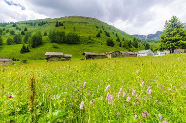 Similar image 22151823