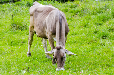 Similar image 22151826