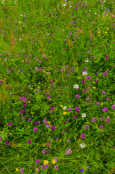 Similar image 22158749