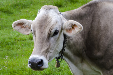 Similar image 22151829