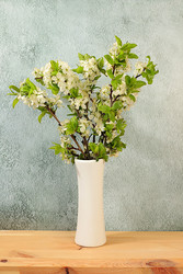 Similar image 22150221