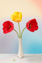 Similar image 22150222