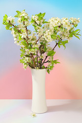 Similar image 22150223