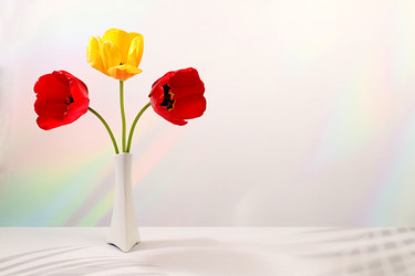 Similar image 22150225