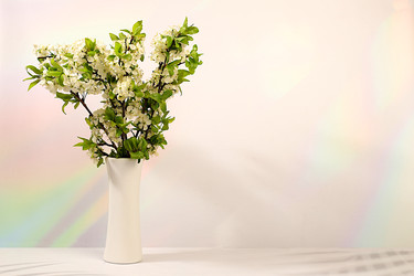 Similar image 22150233