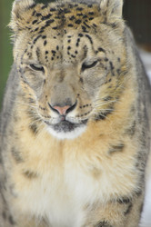 Similar image 22163830