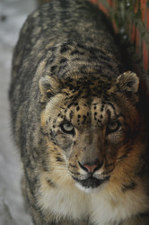 Similar image 22163832