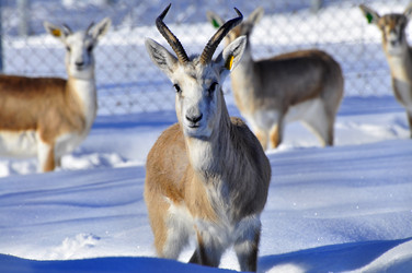 Similar image 22163833