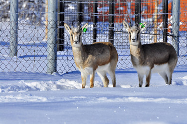 Similar image 22163834