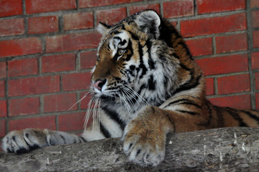 Similar image 22163835