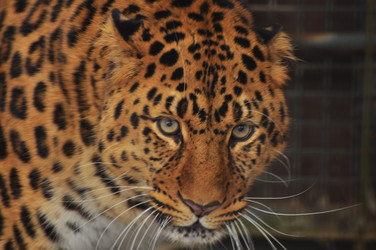 Similar image 22163836