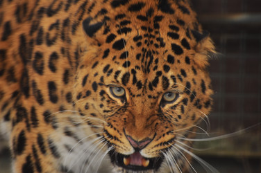 Similar image 22163837