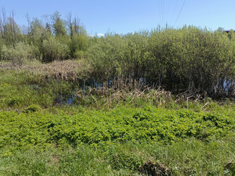 Similar image 22150508