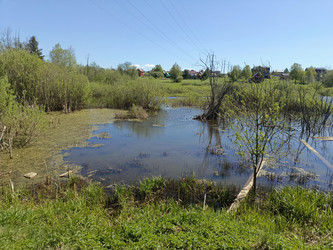 Similar image 22150509