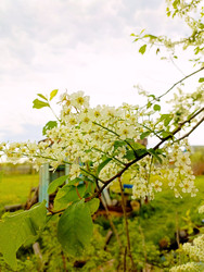 Similar image 22150513