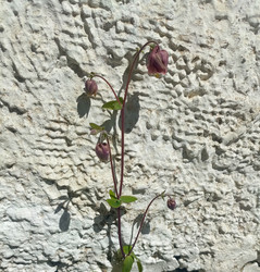 Similar image 22150519