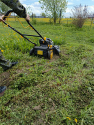 Similar image 22150521