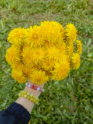 Similar image 22150522