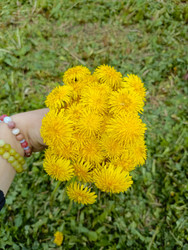 Similar image 22150523