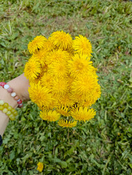 Similar image 22150524