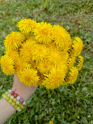 Similar image 22150525