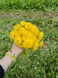 Similar image 22150526