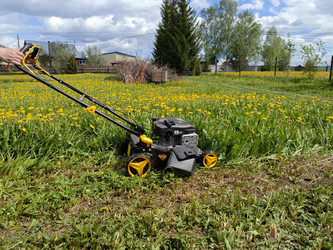 Similar image 22150527