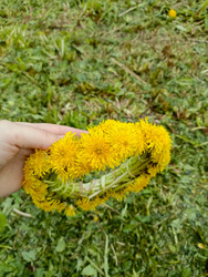 Similar image 22150529