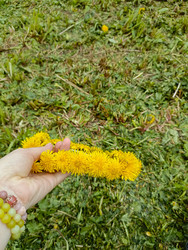 Similar image 22150530