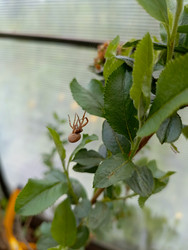 Similar image 22150532