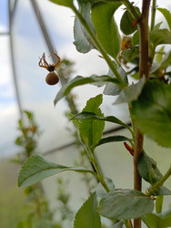 Similar image 22150533