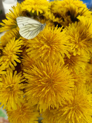 Similar image 22150538