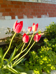 Similar image 22150539