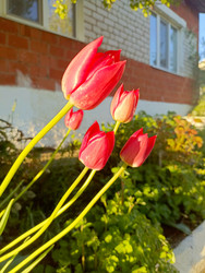 Similar image 22150540