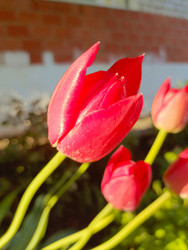 Similar image 22150541