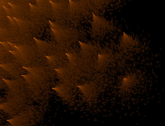 Similar image 22164587