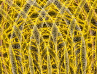 Similar image 22164615