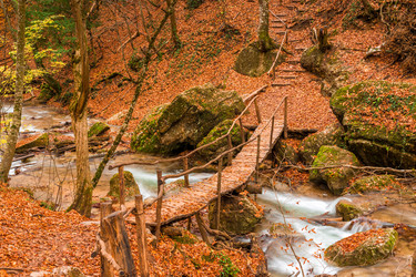 Similar image 22158477