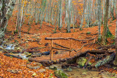 Similar image 22159321