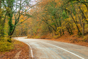 Similar image 22159322