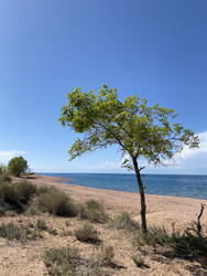 Similar image 22156254