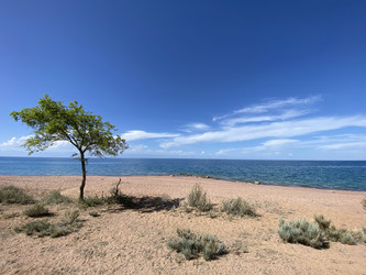 Similar image 22150137