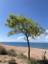 Similar image 22150138