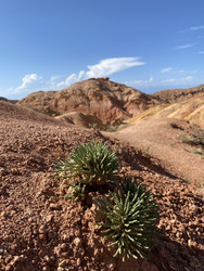 Similar image 22150143