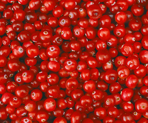 Similar image 22150010