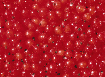 Similar image 22150012