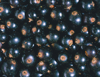 Similar image 22150013