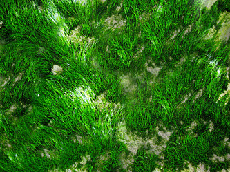 Similar image 22150014