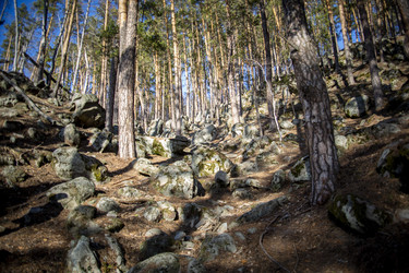 Similar image 22150148