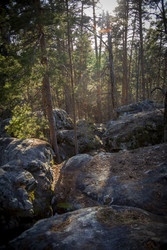 Similar image 22150150